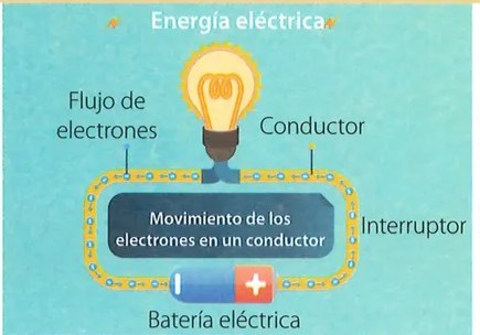 Figura 5 de Ciencias Naturales · 7 EGB · 2024