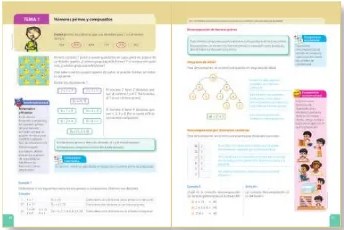 Figura 4 de Matematica · 6 EGB · 2025