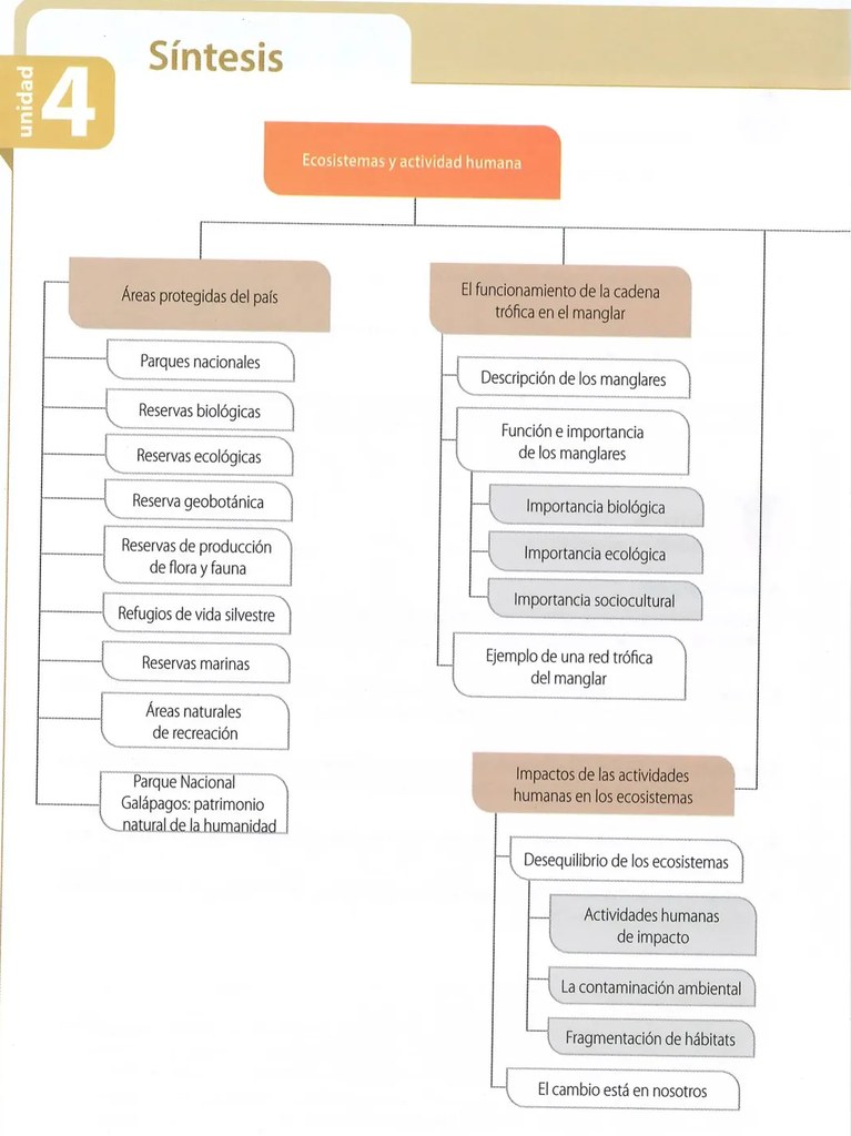 Figura 2 de Ciencias Naturales · 8 EGB · 2025