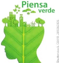 Recuadro de competencia matemática: dato sobre m² de bosque con árboles adultos que proveen oxígeno a un número determinado de personas en un año.