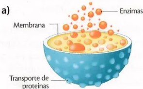 Figura 4 de Ciencias Naturales · 9 EGB · 2024