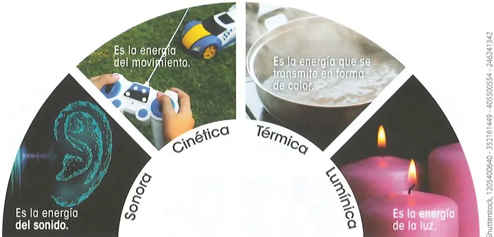 Figura 2 de Ciencias Naturales · 2 EGB · 2025