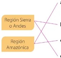 Figura 2 de Estudios Sociales · 6 EGB · 2025