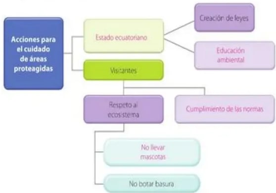 Figura 3 de Estudios Sociales · 5 EGB · 2024