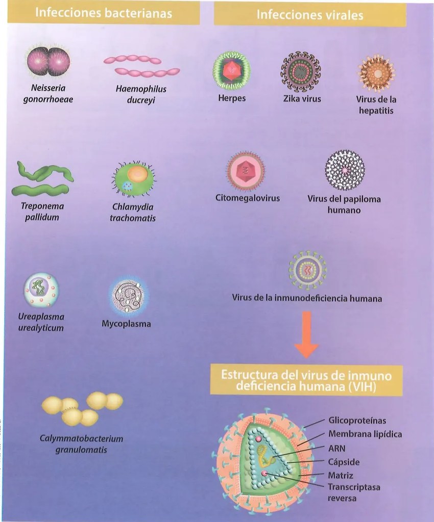Figura 2 de Ciencias Naturales · 8 EGB · 2025