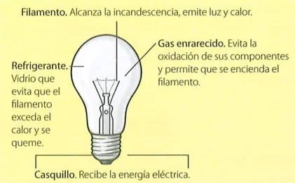Figura 3 de Ciencias Naturales · 7 EGB · 2024