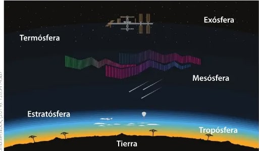 Figura 2 de Ciencias Naturales · 6 EGB · 2025