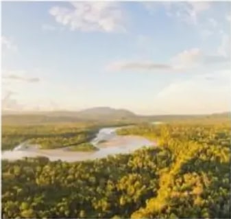 Vista panorámica de la Amazonía con elevaciones de los Andes al fondo.