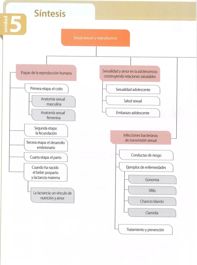 Figura 2 de Ciencias Naturales · 8 EGB · 2025