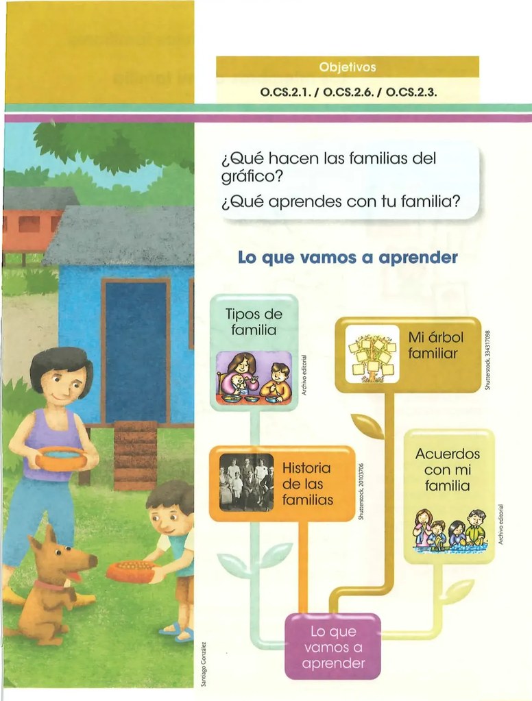 Cuatro tarjetas conectadas con tallos: ilustración de comida en familia (Tipos de familia), árbol genealógico (Mi árbol familiar), fotografía antigua de familia (Historia de las familias), familia firmando acuerdos (Acuerdos con mi familia).
