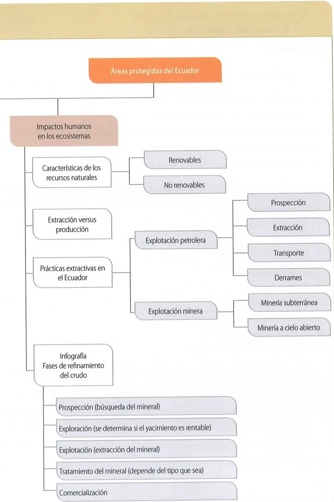 Figura 2 de Ciencias Naturales · 9 EGB · 2024