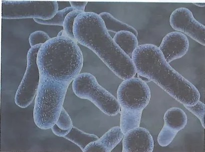 Figura 2 de Ciencias Naturales · 8 EGB · 2025