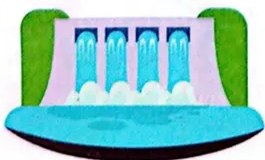 Figura 3 de Ciencias Naturales · 4 EGB · 2025