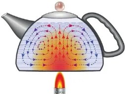 Figura 2 de Ciencias Naturales · 6 EGB · 2025