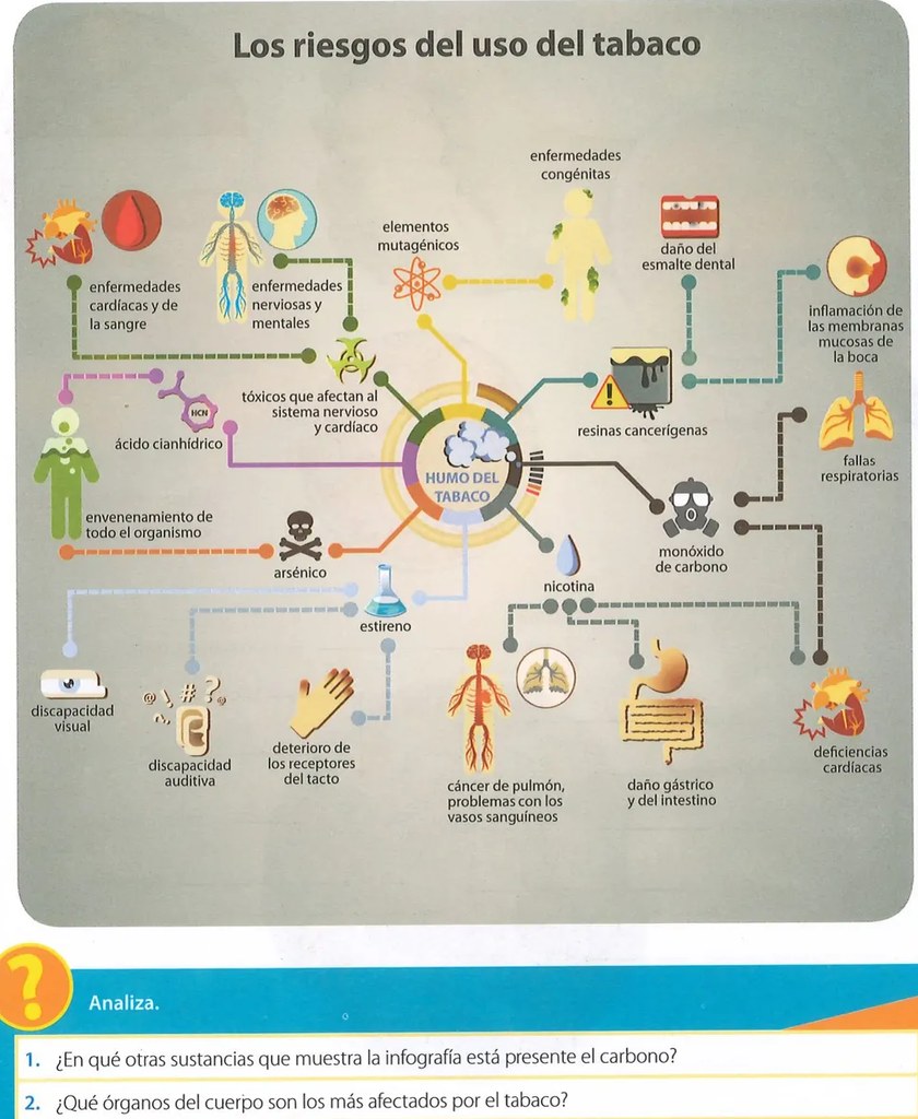 Figura 2 de Ciencias Naturales · 9 EGB · 2024