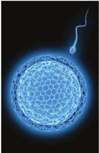 Figura 3 de Ciencias Naturales · 6 EGB · 2025