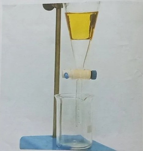 Figura 6 de Ciencias Naturales · 3 EGB · 2024