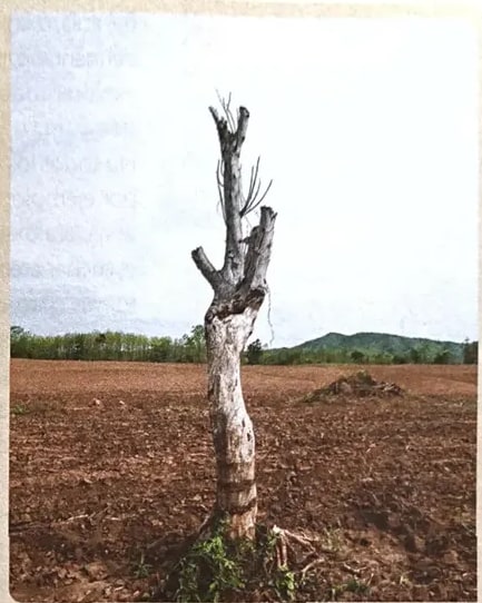Fotografía o ilustración relacionada con el cambio climático (huracanes, sequías o tsunamis).