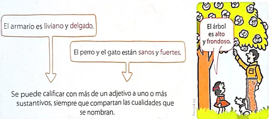 Figura 2 de Lengua Y Literatura · 4 EGB · 2024