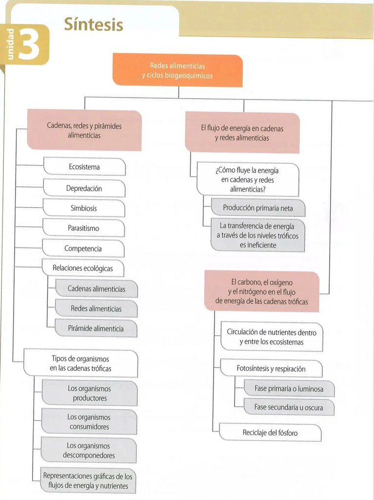 Figura 2 de Ciencias Naturales · 8 EGB · 2025