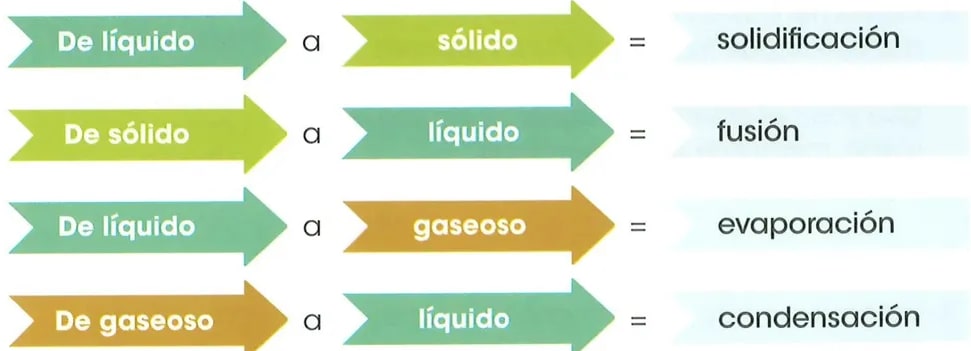 Figura 3 de Ciencias Naturales · 2 EGB · 2025