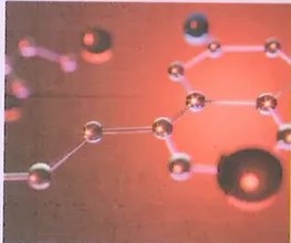 Figura 3 de Ciencias Naturales · 8 EGB · 2025