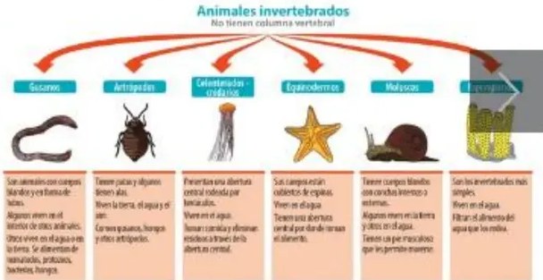 Figura 5 de Ciencias Naturales · 5 EGB · 2024