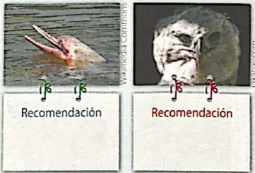 Figura 6 de Lengua Y Literatura · 4 EGB · 2024
