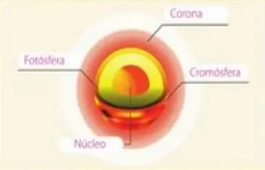 Figura 5 de Ciencias Naturales · 5 EGB · 2024