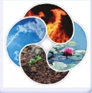 Figura 2 de Ciencias Naturales · 6 EGB · 2025