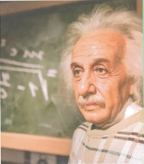 Figura 1 de Ciencias Naturales · 8 EGB · 2025