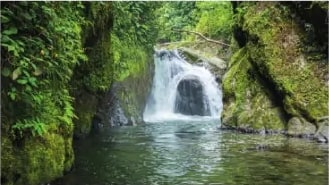 Fotografía de cascada en río, con musgo y plantas sin semilla en su entorno. Pie de foto: 'Hábitat de plantas sin semilla: Cascada en el río.' Ubicación: Nambillo, Mindo, Pichincha, Ecuador.