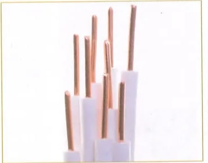 Figura 3 de Ciencias Naturales · 8 EGB · 2025