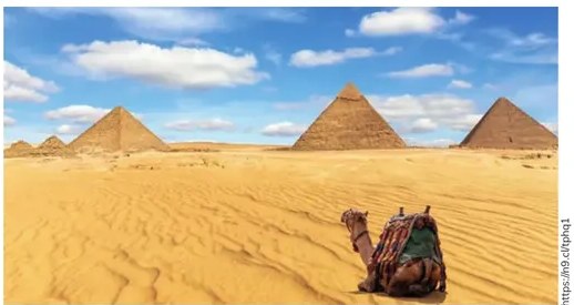 Foto del Coliseo Romano con su característica fachada de arcos.