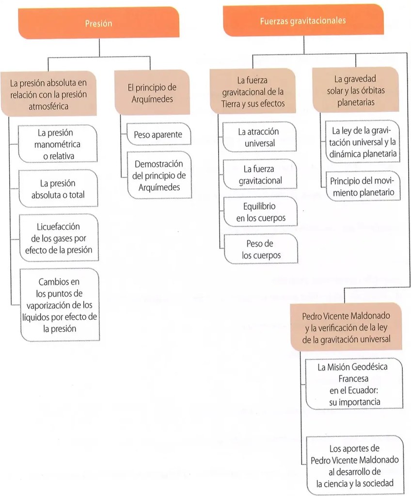 Figura 2 de Ciencias Naturales · 10 EGB · 2024