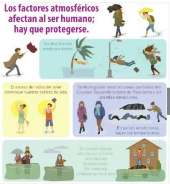 Figura 3 de Ciencias Naturales · 5 EGB · 2024