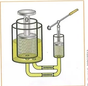 Figura 2 de Ciencias Naturales · 10 EGB · 2024