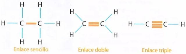 Figura 5 de Ciencias Naturales · 8 EGB · 2025