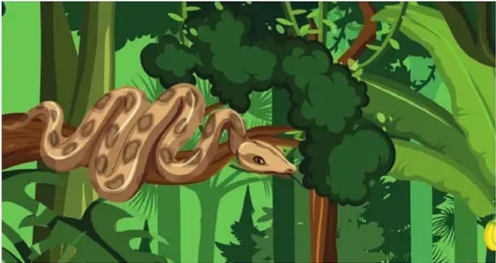 Ilustración de una serpiente enroscada en una rama gruesa en la selva.