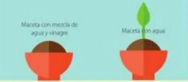Infografía dividida con Tierra al centro y comparación entre alternativas ecológicas (lado verde) y contaminación (lado gris).
