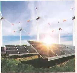 Figura 1 de Ciencias Naturales · 8 EGB · 2025