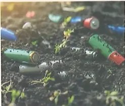 Figura 2 de Ciencias Naturales · 8 EGB · 2025