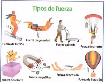 Figura 4 de Ciencias Naturales · 8 EGB · 2025
