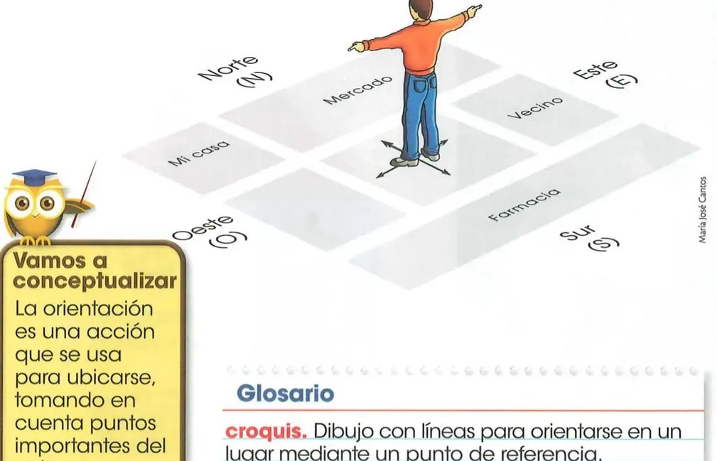Búho 'Vamos a conceptualizar'.