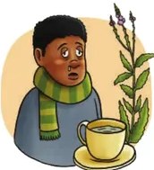 Ilustración de un hombre afroecuatoriano con pañuelo en la cabeza para la frente, ilustrando la cura del dolor de cabeza.