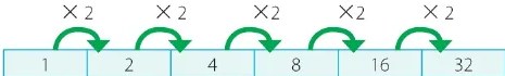 Figura 6 de Matematica · 6 EGB · 2025