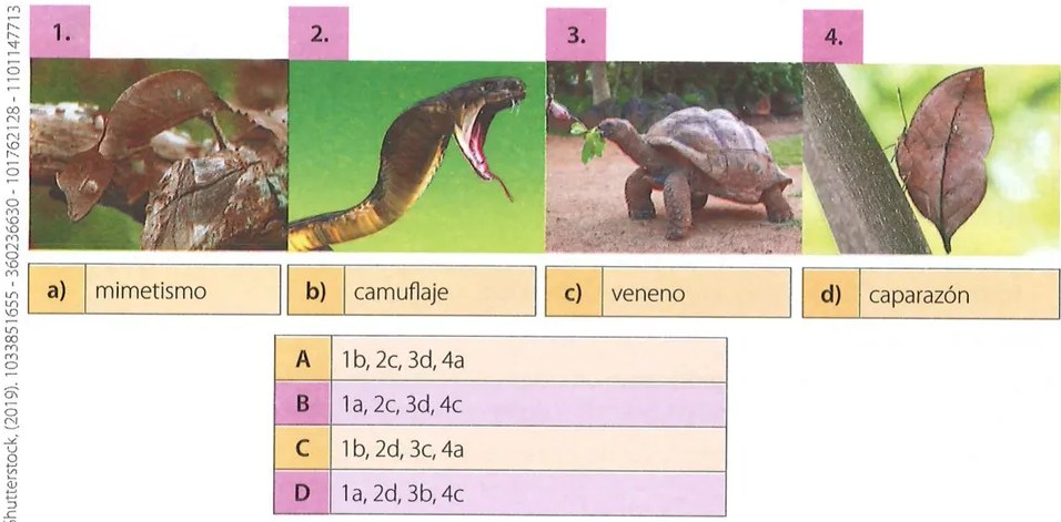 Figura 2 de Ciencias Naturales · 7 EGB · 2024