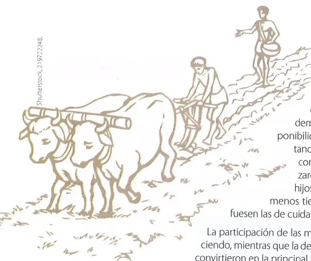 Figura 2 de Estudios Sociales · 8 EGB · 2024