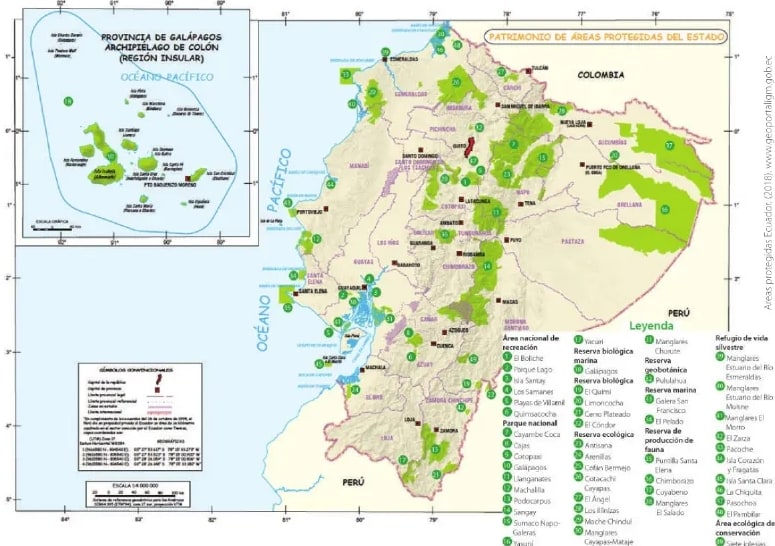 Figura 1 de Estudios Sociales · 6 EGB · 2025