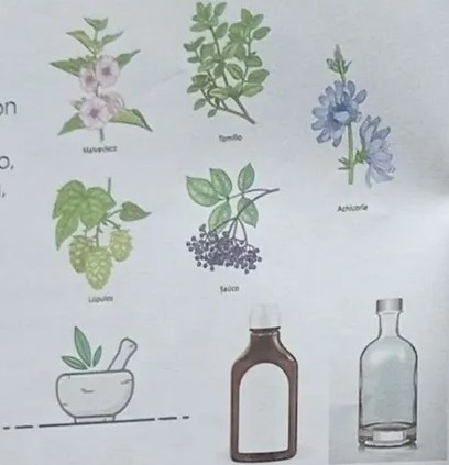 Materiales: mortero con planta, frasco de alcohol oscuro, frasco transparente.